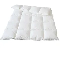 Traumina Plume Bio Daune WK 4 (Größe: 200x220 cm*)