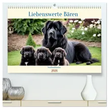 Calvendo Neufundländer - Liebenswerte Bären Wandkalender 2026 Mehrfarbig
