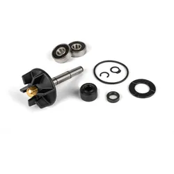 Reparaturkit Wasserpumpe Piaggio (komplett mit Welle Lager Wellendichtringe)