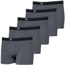 haasis bodywear Pants grau XXL 5er Pack