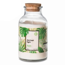 WE LOVE CANDLES Duftkerze Go Green - Darkest light 420g Kerzen 