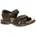 C17 marron