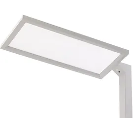 Beliani Beliani, Stehlampe, ORION (8400 lm)