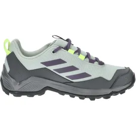 Adidas Terrex Eastrail Gore-Tex Wonder Silver / Shadow Violet / Lucid Lemon 40 2/3