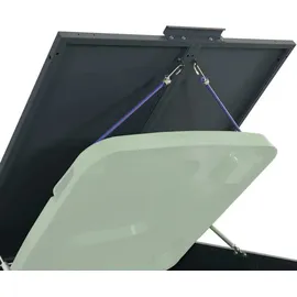 deluke Mülltonnenbox GORILO 276 x 117 x 79 cm anthrazit