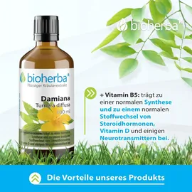 Bioherba Damiana Turnera diffusa Tropfen 50 ml
