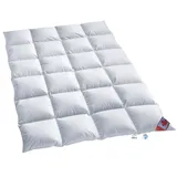 Canada warme Winter Daunendecke Kassetten canadische Daune (155x220 cm)