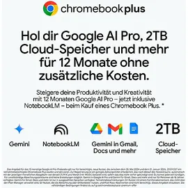 Acer Chromebook Plus 516 16'' Intel Core 3 100U 8 GB RAM 256 GB SSD Google ChromeOS grau