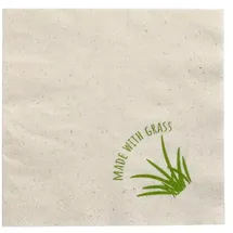 Papstar 250 Servietten, 2-lagig 33 x 33 cm 1/8-Falz natur mit Grasanteil