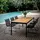 Houe CLICK Dining Chair (10801)