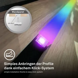 Briloner Pimp your Panel Diffusor 1,3 m