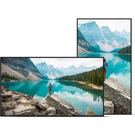 Sharp M862 Digital Signage Display 86"