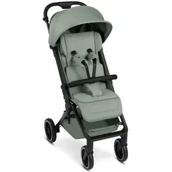 ABC DESIGN Buggy Ping 3 Trekking Pine