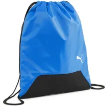 Puma teamGOAL electric blue lemonade/black