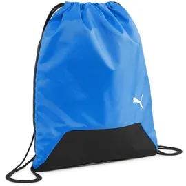 Puma teamGOAL electric blue lemonade/black