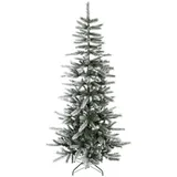 Evergreen Weihnachtsbaum Cedar Kiefer Frost 210 cm