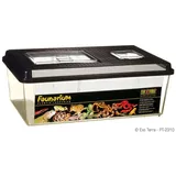 Exo Terra Faunarium flach groß 46 x 31 x 17,5 cm