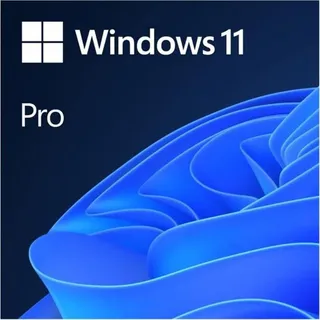 Microsoft Windows 11 Pro ESD DE