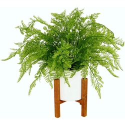 Kunstpflanze »Wilhelmine« Farn, DELAVITA, Höhe 38 cm, im Topf grün