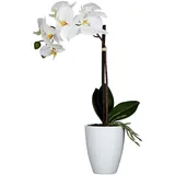 Mica decorations Mica Kunstpflanze Phalaenopsis im Topf weiß, 42 x 20 cm