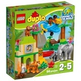 LEGO® DUPLO® Dschungel 10804