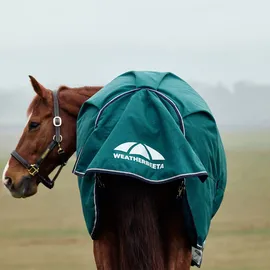 Weatherbeeta Comfitec Plus Dynamic Turnout High Neck 220g, 150