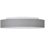 Brumberg 58212003 1 LED rund grau/Opalglas