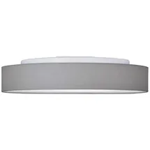 Brumberg 58212003 1 LED rund grau/Opalglas