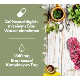 Exvital Brennnessel Komplex Kapseln 120 St.