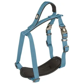 Laroy Duvo EXPLOR North Geschirr Hundehalsband Petrol/Blau 80 - 100 cm