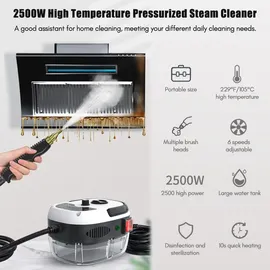 Decdeal Tragbarer Dampfreiniger 2500W weiß
