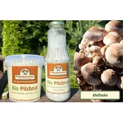 Shiitake-Pilzbrut BIO 1 Liter