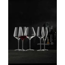 Nachtmann ViNova Wein- und Champagnergläser Set 0,3 l 12 St.