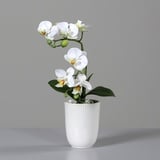 Kunstblume Orchidee - beige