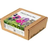 Click & Grow Click and Grow, Samen, Smart Garden Refill 9-pack Vibrant Flower Mix