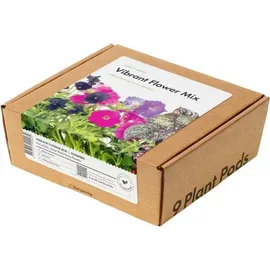 Click & Grow Click and Grow, Samen, Smart Garden Refill 9-pack Vibrant Flower Mix