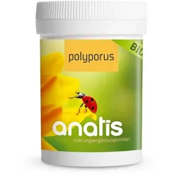 anatis Bio Polyporus Pilz (90 Kps.)