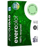 Clairefontaine Evercolor hellgrün A4 80 g/qm 500 Blatt
