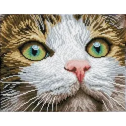 DIAMOND DOTZ® DD6.029 Original Diamond Painting Katze Green Eyed Beauty“ 35 x 27 cm