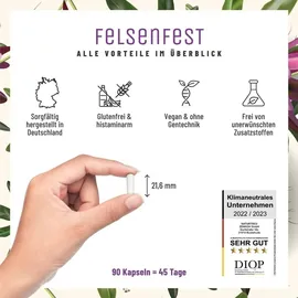 NATURTREU Felsenfest Kapseln 90 St.