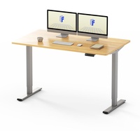 FLEXISPOT Schreibtisch Basic Plus Elektrisch Höhenverstellbarer Schreibtisch EF1