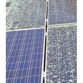 Edialux Enzimo Solaranlagen- & PV-Anlagen-Reiniger 2,5L