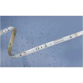 BARTHELME LED-Streifen 51540434 12 W Kaltweiß 500 cm 1 St.