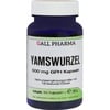 Yamswurzel 500mg GPH Kapseln