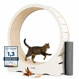 noviclass Katzenlaufrad Baghira Groß 120 cm Pink/Rosa