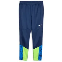 Puma individualCUP Trainingshose blau XL