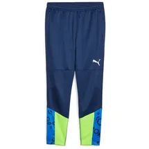 Puma individualCUP Trainingshose blau XL