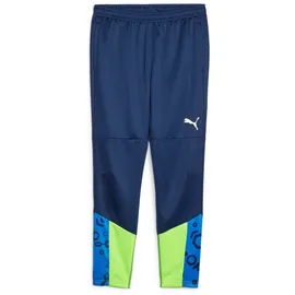 Puma individualCUP Trainingshose blau XL