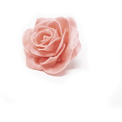 Flowerbox Wachsrose - orange