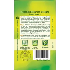 Quedlinburger Saatgut Salatgurke Gergana (Gurkensamen)